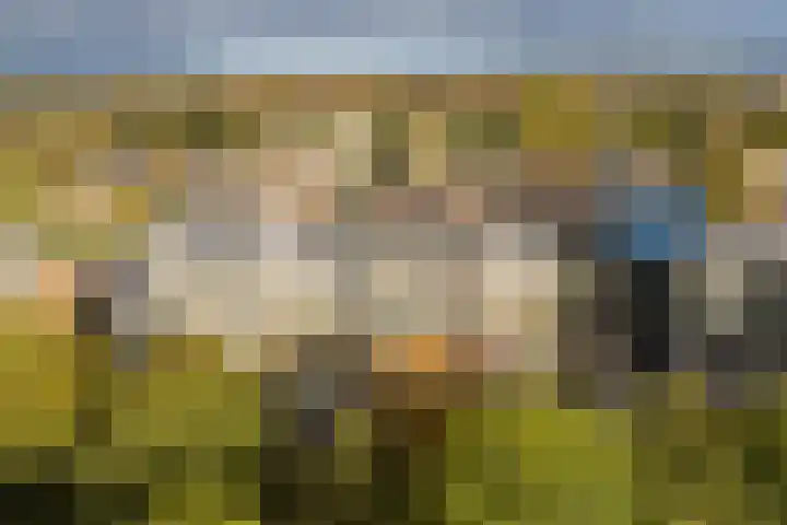Voerakker 253 Ede thumbnail 29