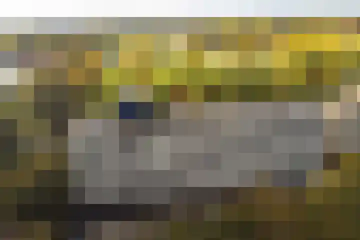 Voerakker 253 Ede thumbnail 30