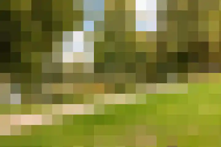 Voerakker 253 Ede thumbnail 31
