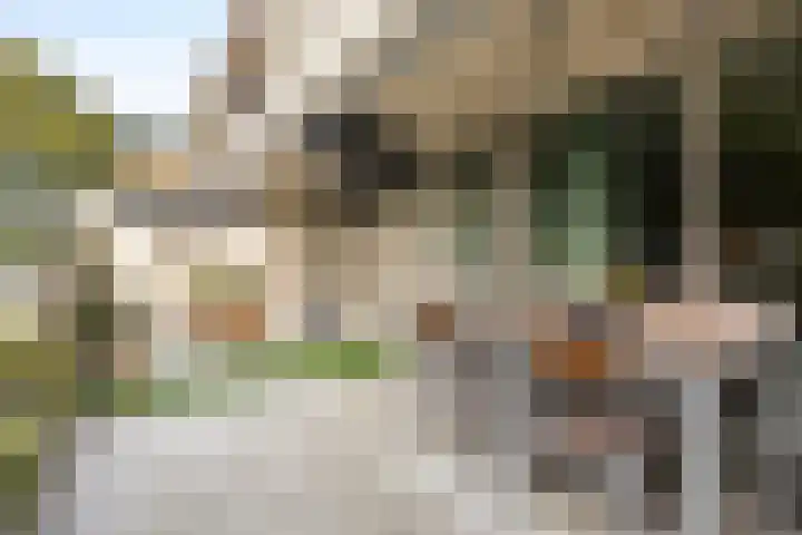 Voerakker 253 Ede thumbnail 4
