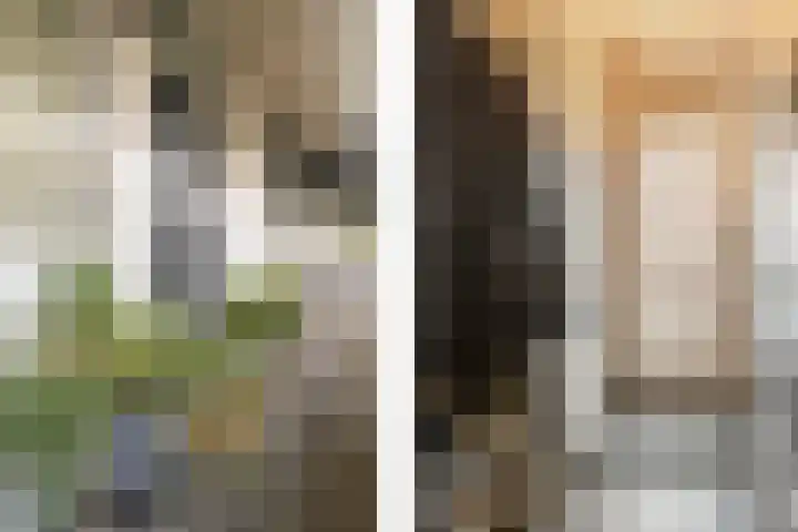 Voerakker 253 Ede thumbnail 8