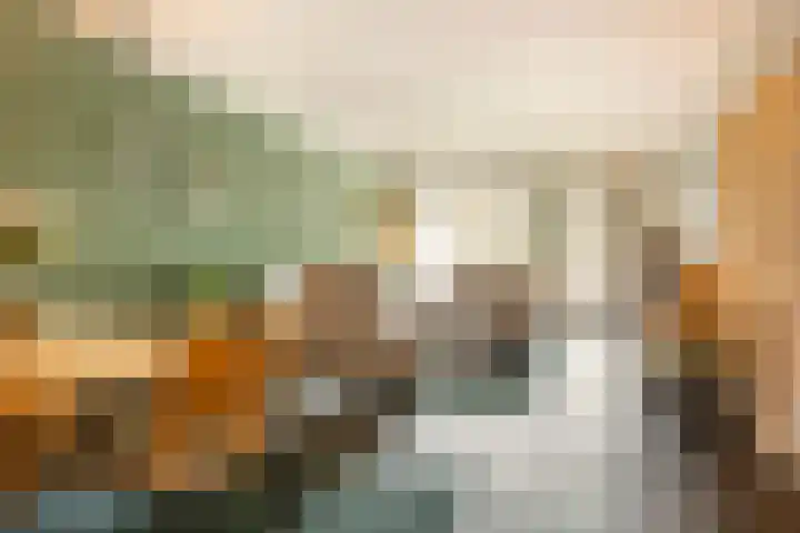 Voerakker 253 Ede thumbnail 9