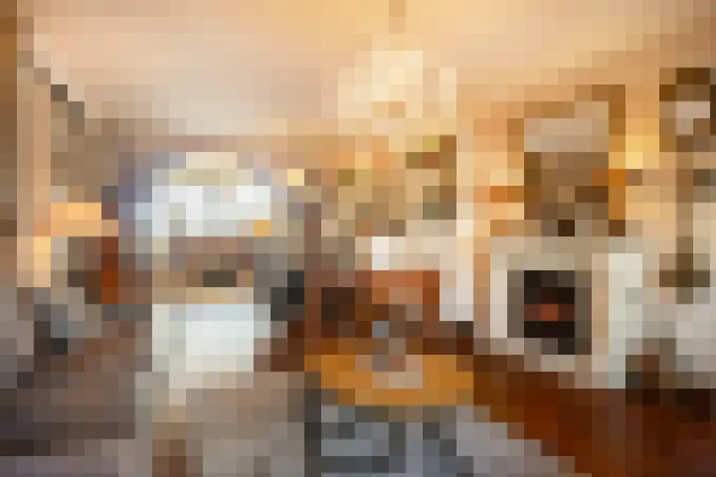 Voerakker 264 Ede thumbnail 20