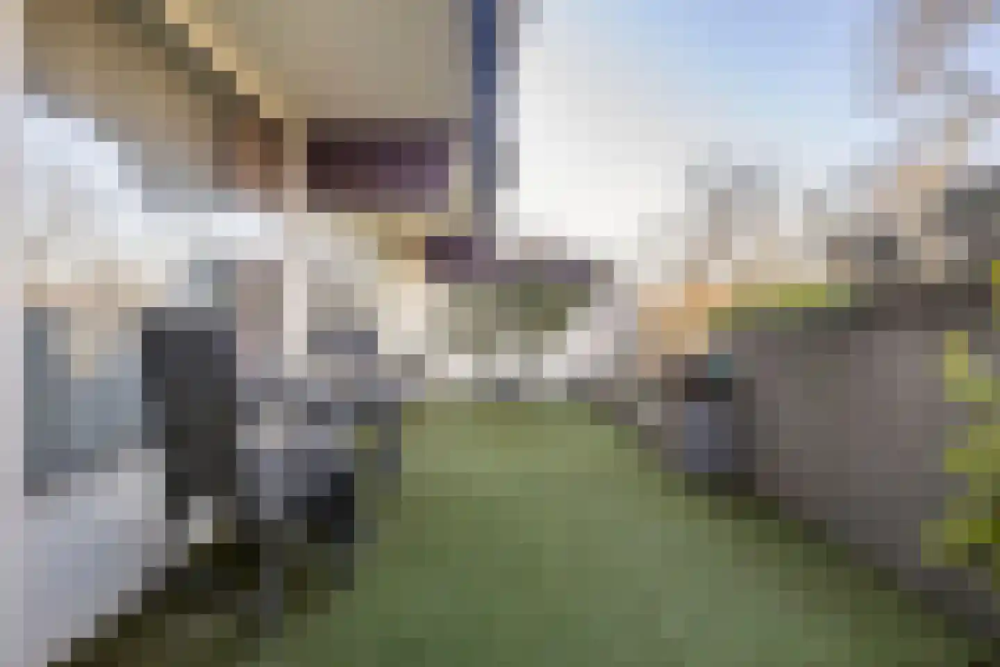 Voerakker 264 Ede thumbnail 34