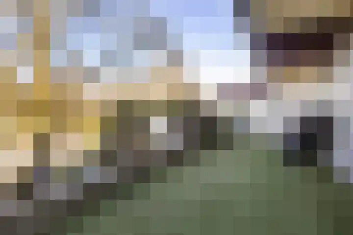 Voerakker 264 Ede thumbnail 35