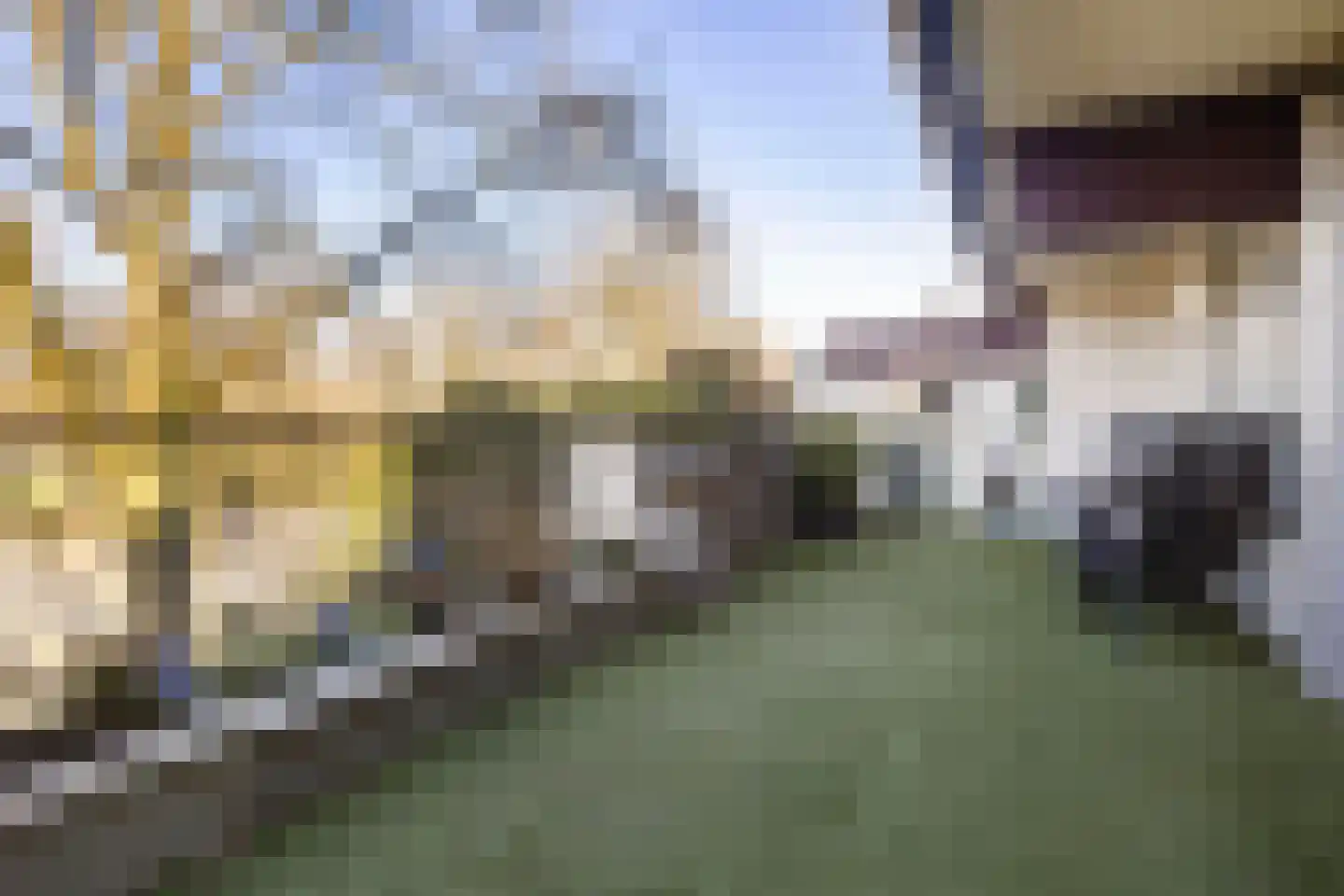 Voerakker 264 Ede thumbnail 35
