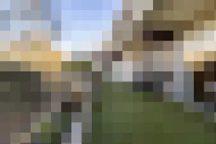 Voerakker 264 Ede thumbnail 36
