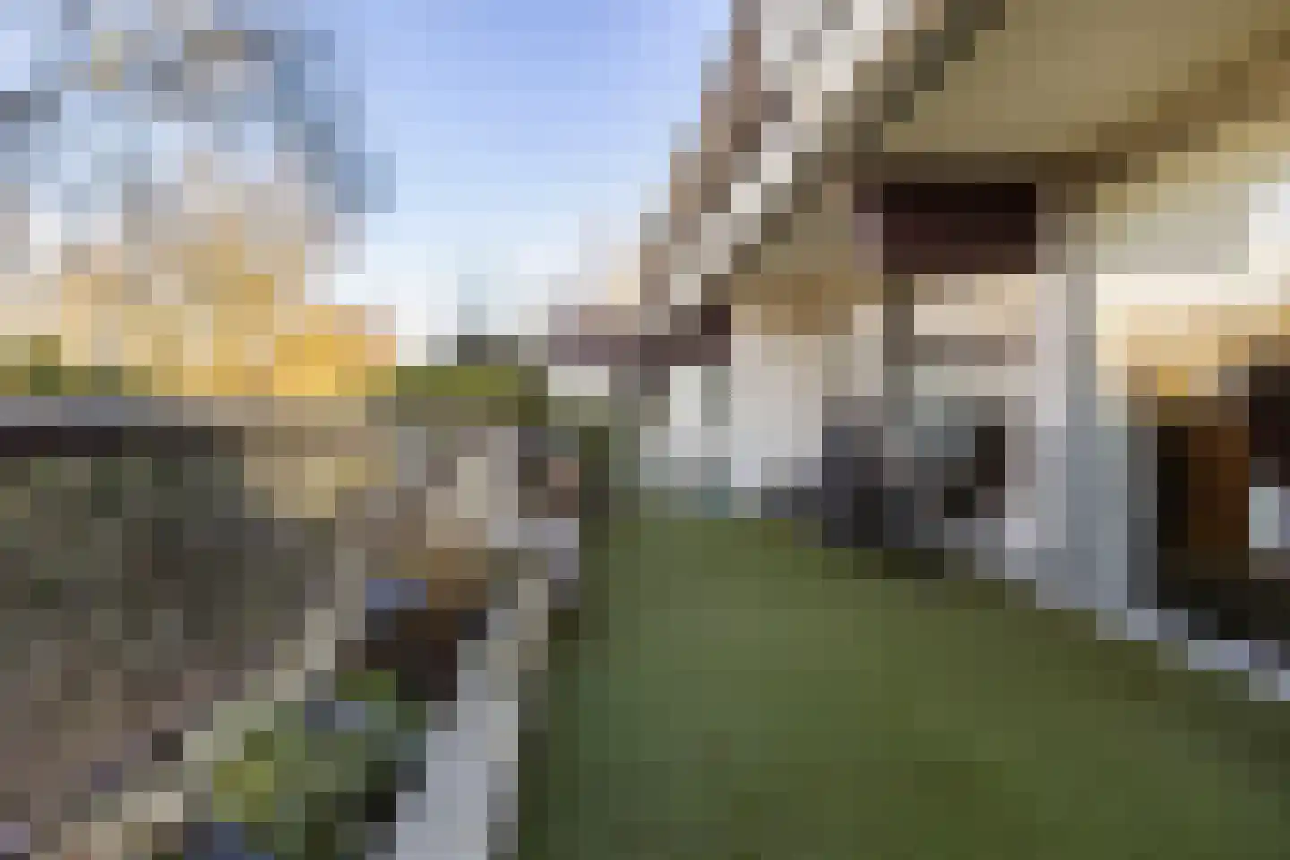 Voerakker 264 Ede thumbnail 36