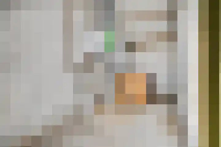 Voerakker 35 Ede thumbnail 24