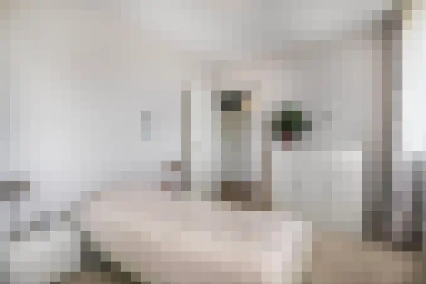 Voerakker 464 Ede thumbnail 20