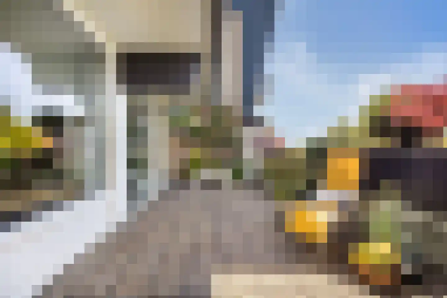 Voerakker 464 Ede thumbnail 26