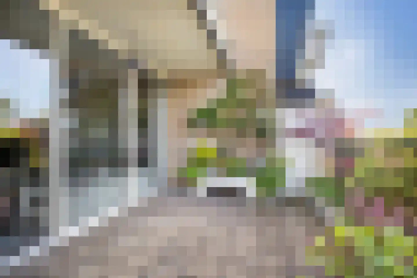 Voerakker 464 Ede thumbnail 27