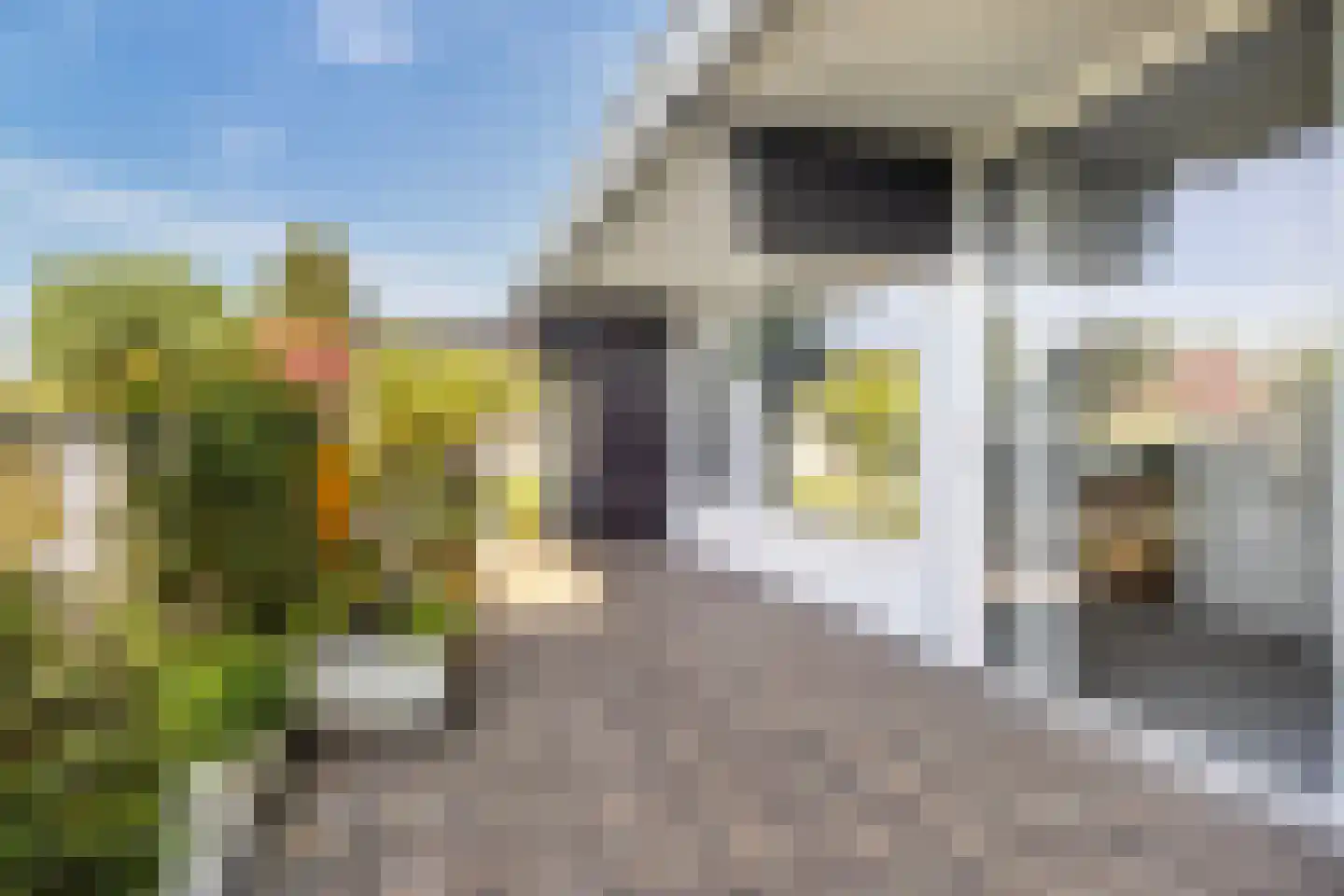 Voerakker 464 Ede thumbnail 28