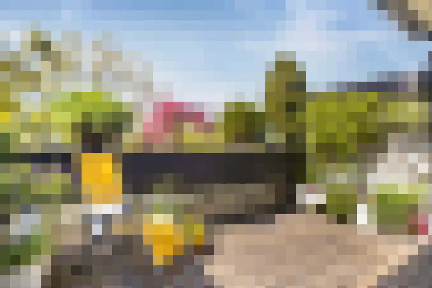 Voerakker 464 Ede thumbnail 29