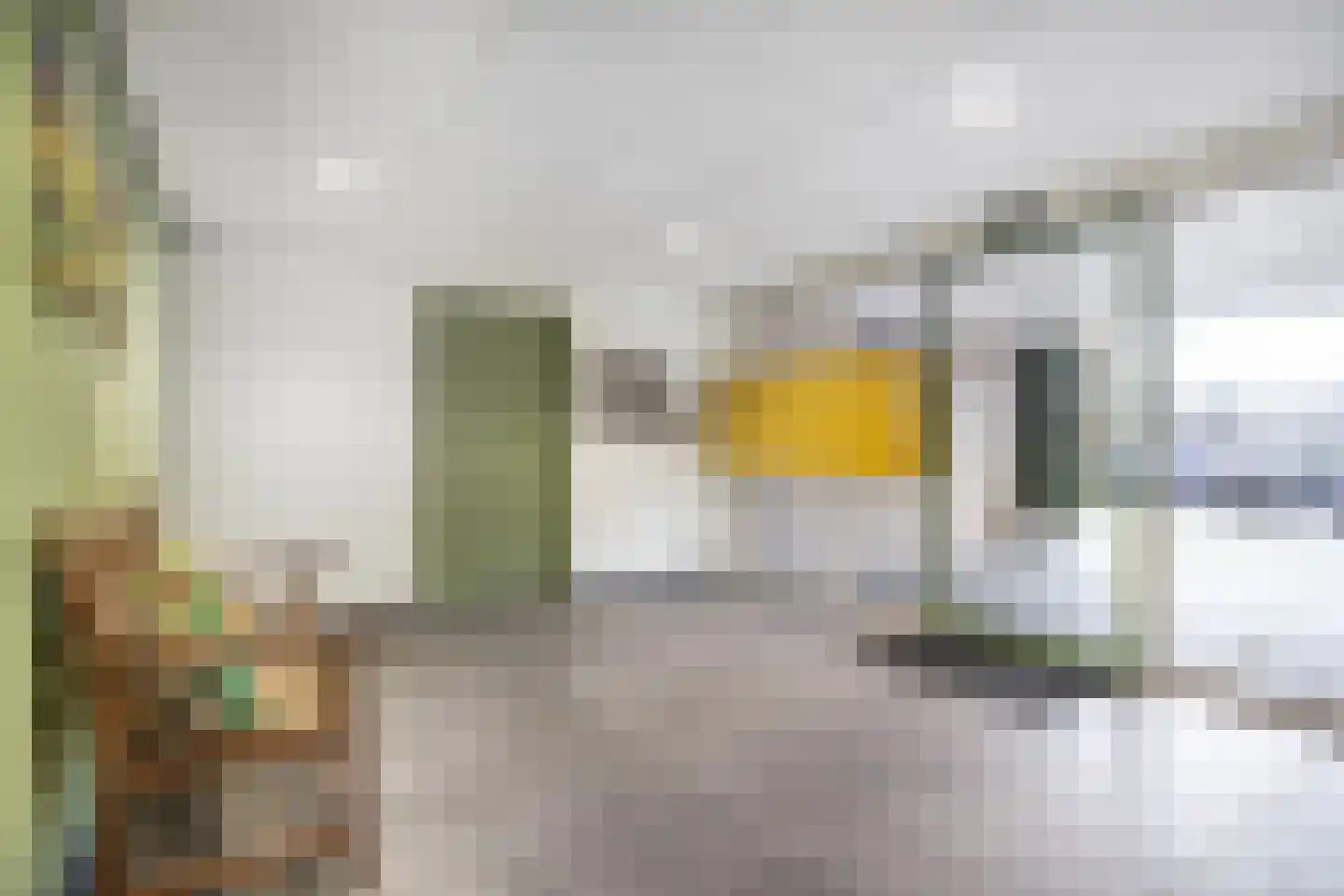 Voerakker 464 Ede thumbnail 32