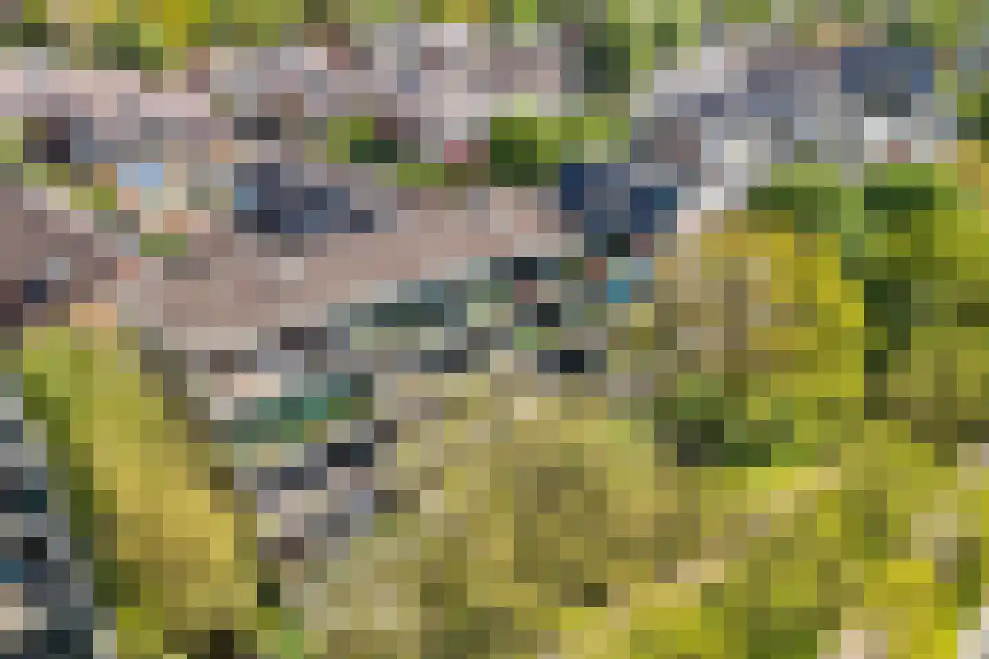 Voerakker 464 Ede thumbnail 36