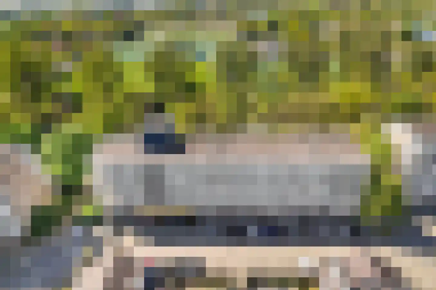 Voerakker 464 Ede thumbnail 39