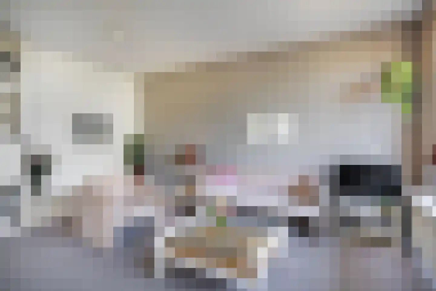 Voerakker 464 Ede thumbnail 4