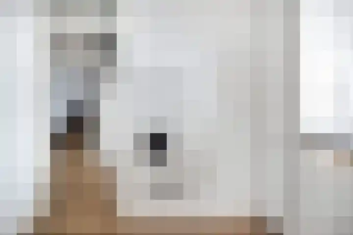 Voerakker 466 Ede thumbnail 12