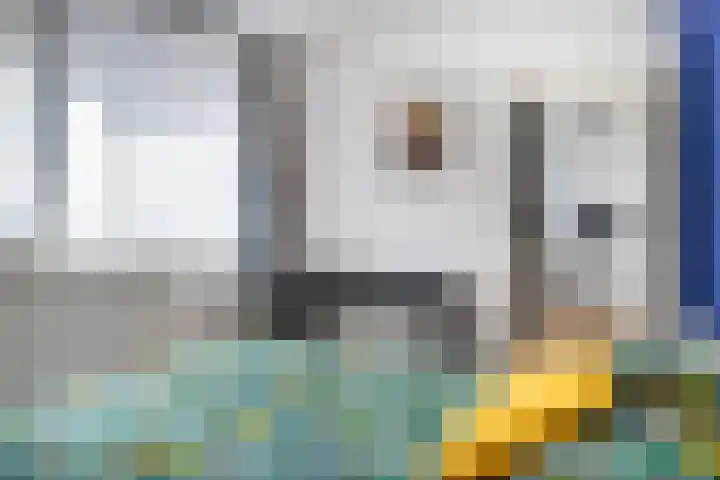 Voerakker 466 Ede thumbnail 14