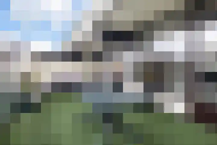Voerakker 466 Ede thumbnail 20