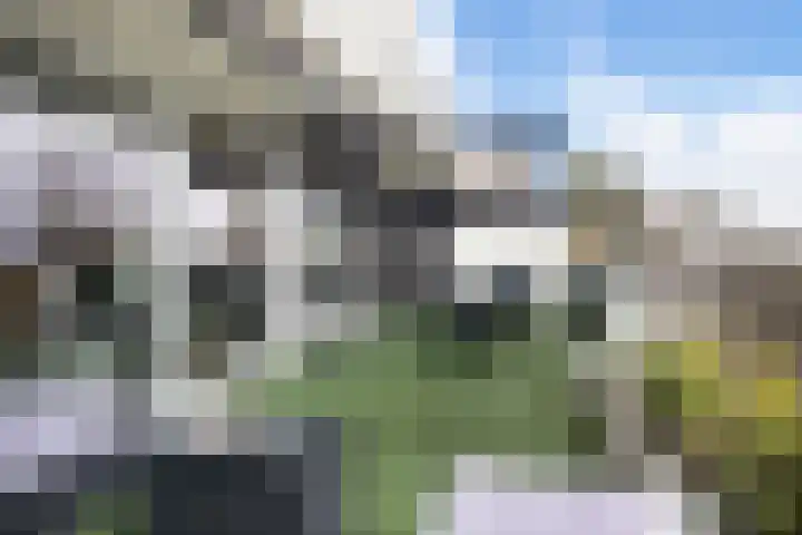 Voerakker 466 Ede thumbnail 22