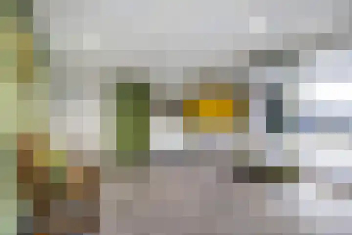 Voerakker 466 Ede thumbnail 25