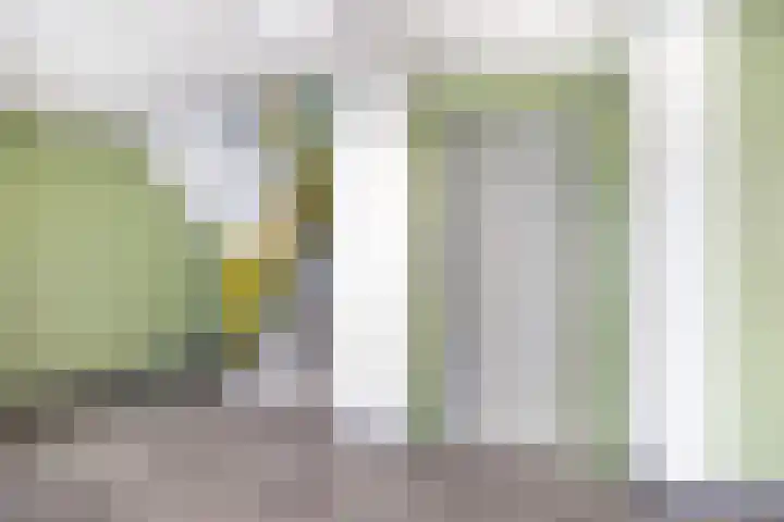Voerakker 466 Ede thumbnail 26