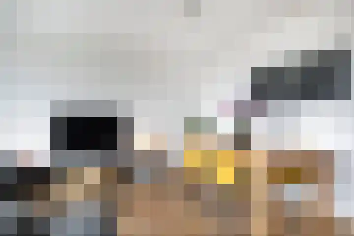 Voerakker 466 Ede thumbnail 5
