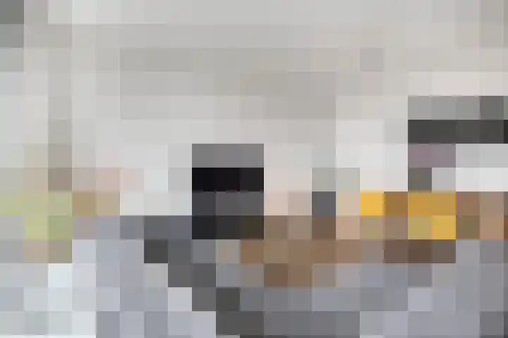 Voerakker 466 Ede thumbnail 6