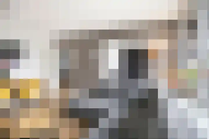 Voerakker 466 Ede thumbnail 7