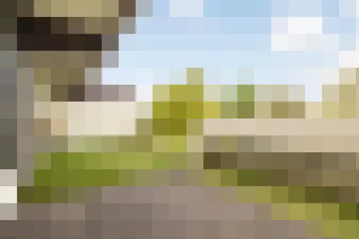 Voerakker 468 Ede thumbnail 17