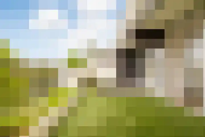Voerakker 468 Ede thumbnail 18