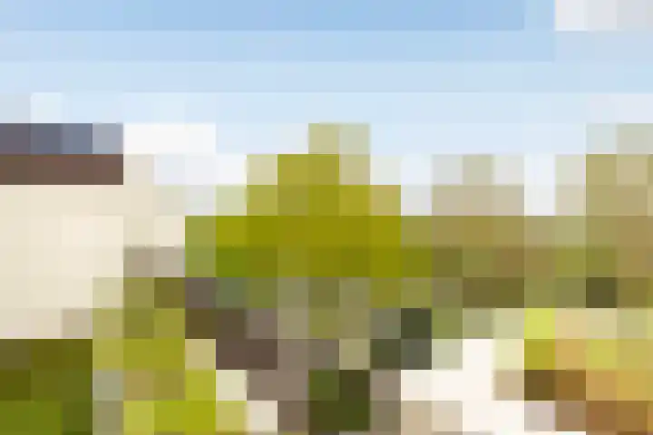 Voerakker 468 Ede thumbnail 19