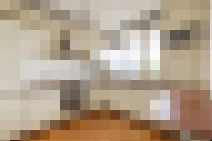 Voerakker 468 Ede thumbnail 20