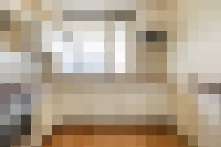 Voerakker 468 Ede thumbnail 22