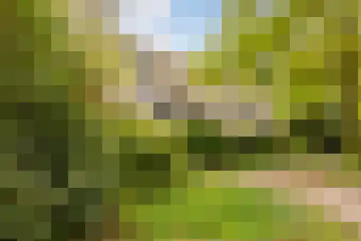 Voerakker 468 Ede thumbnail 28