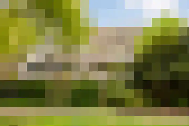 Voerakker 468 Ede thumbnail 29