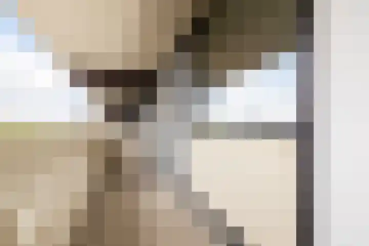 Voerakker 468 Ede thumbnail 8