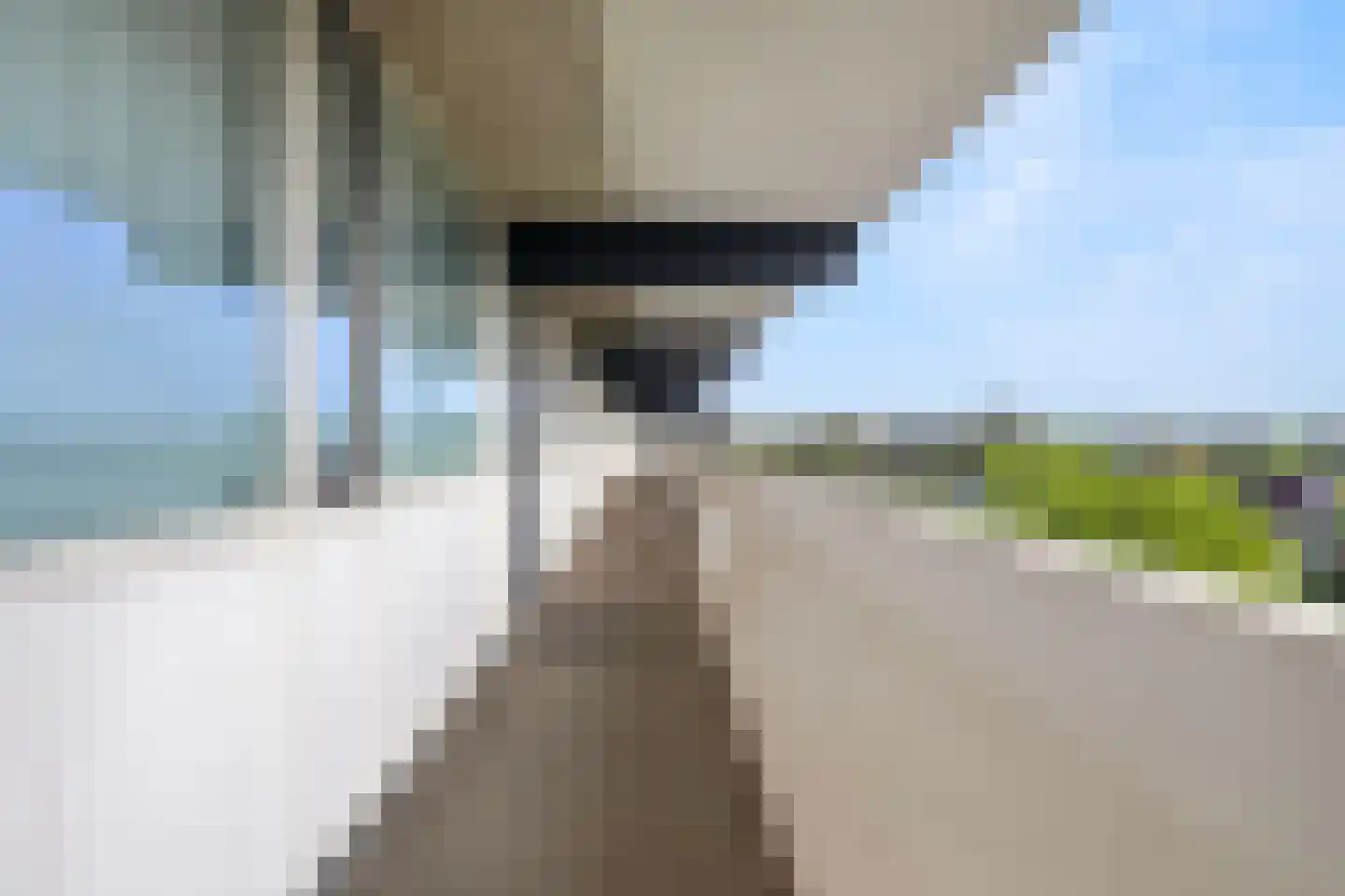 Voerakker 551 Ede thumbnail 26