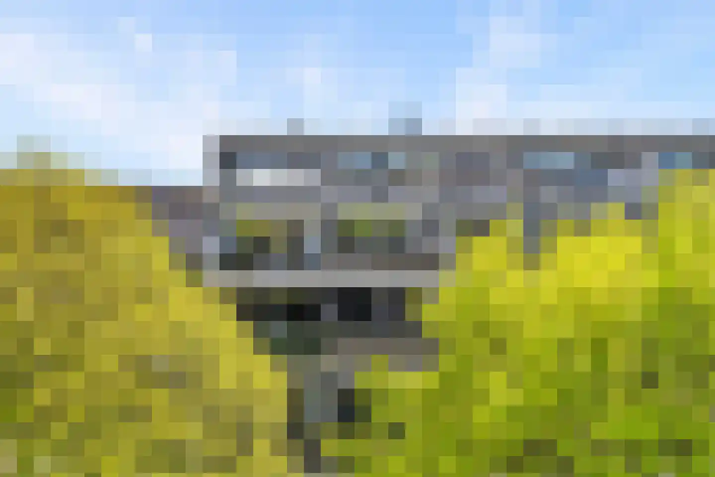 Voerakker 551 Ede thumbnail 33