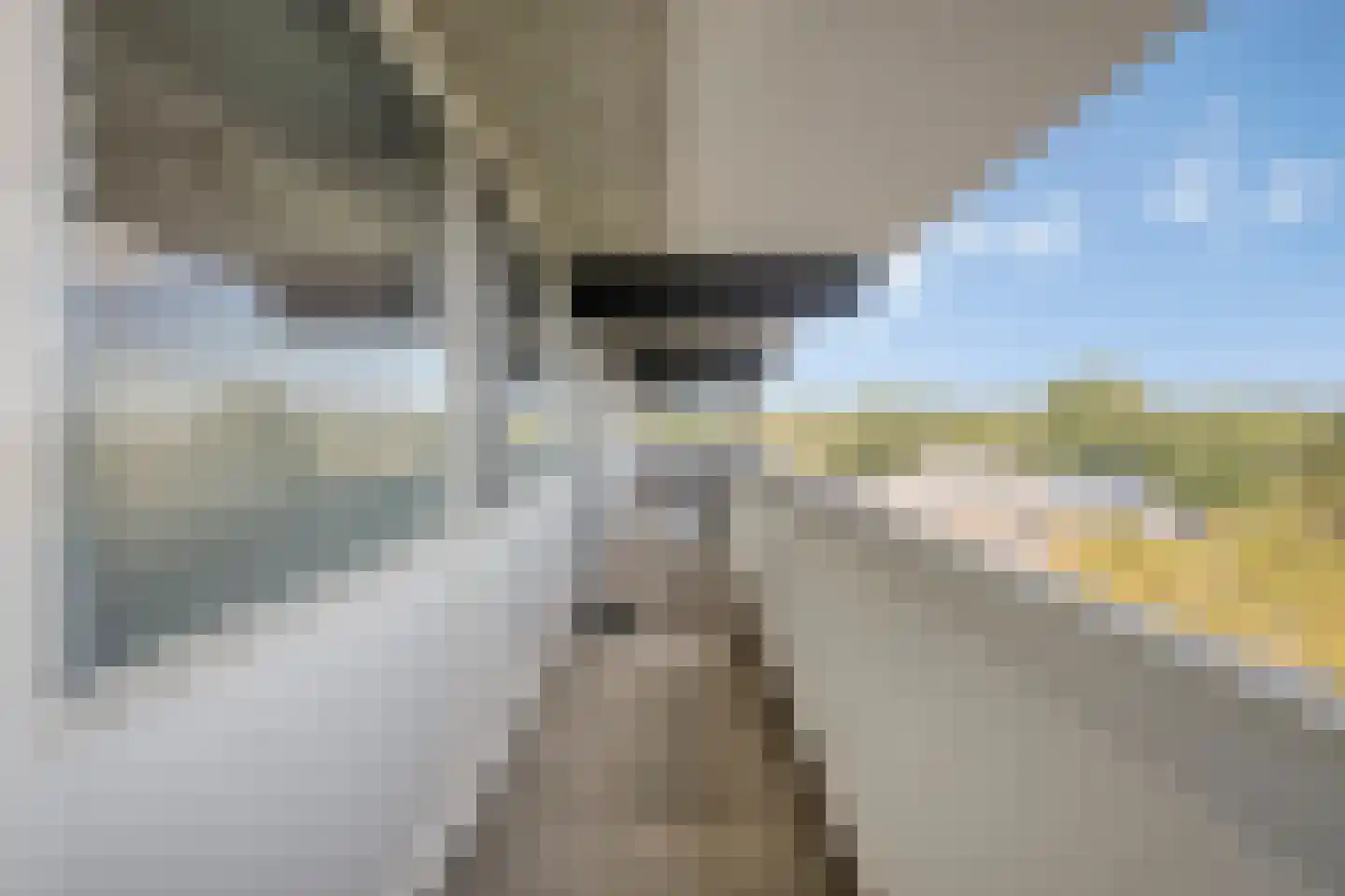 Voerakker 553 Ede thumbnail 20