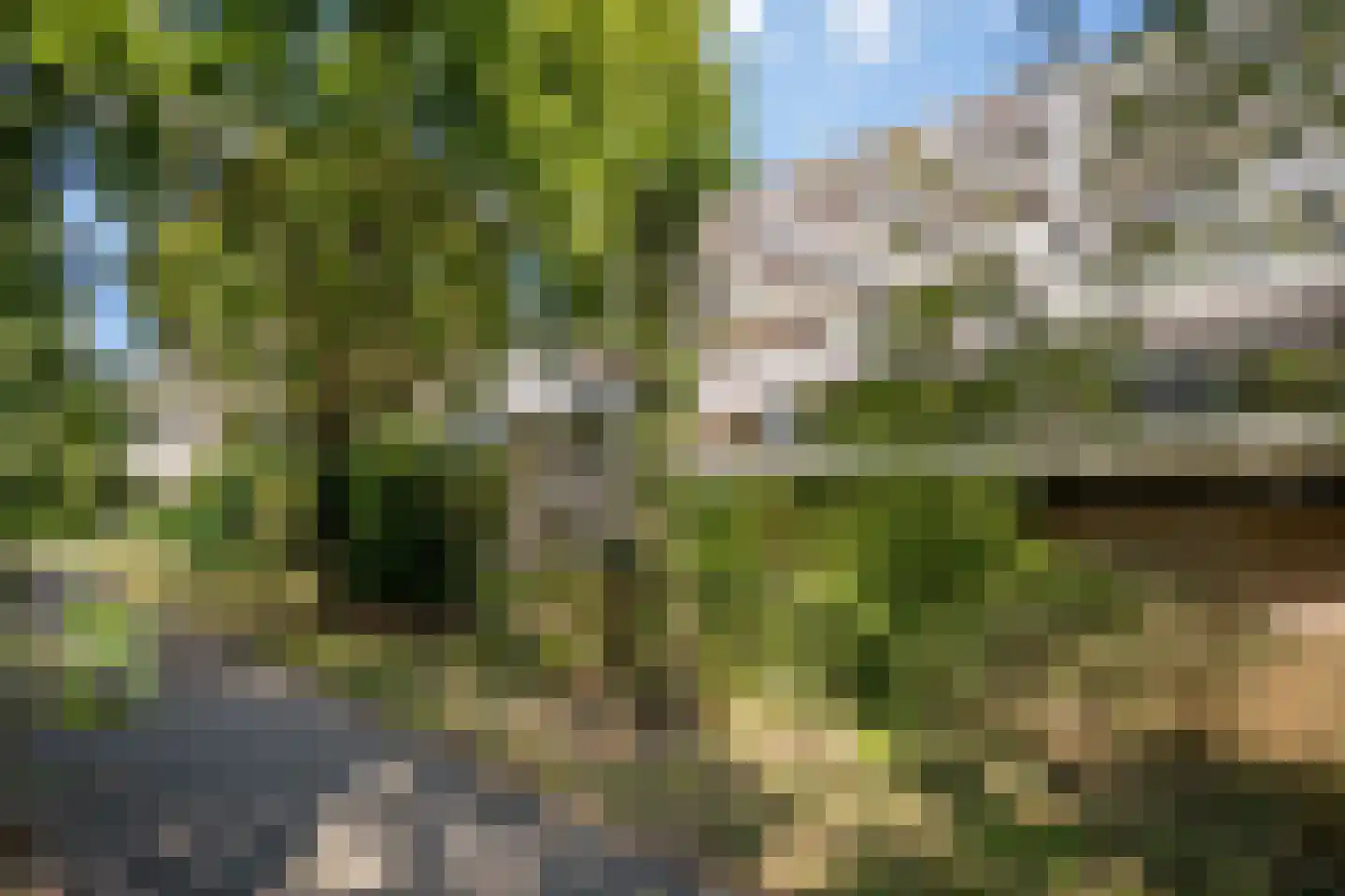 Voerakker 553 Ede thumbnail 26