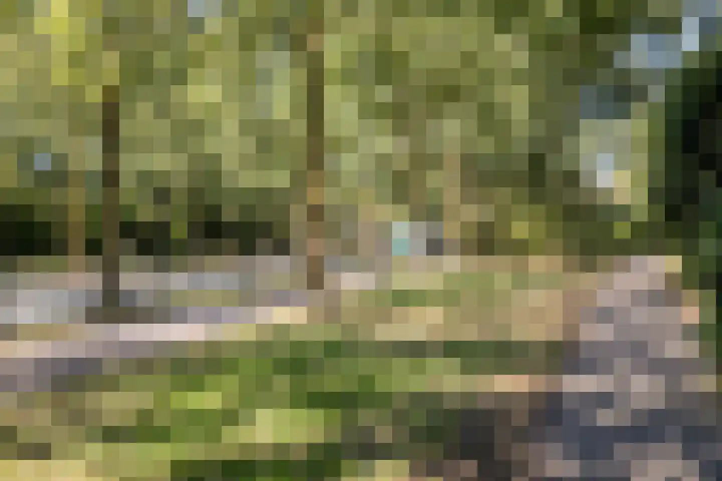 Voerakker 553 Ede thumbnail 28