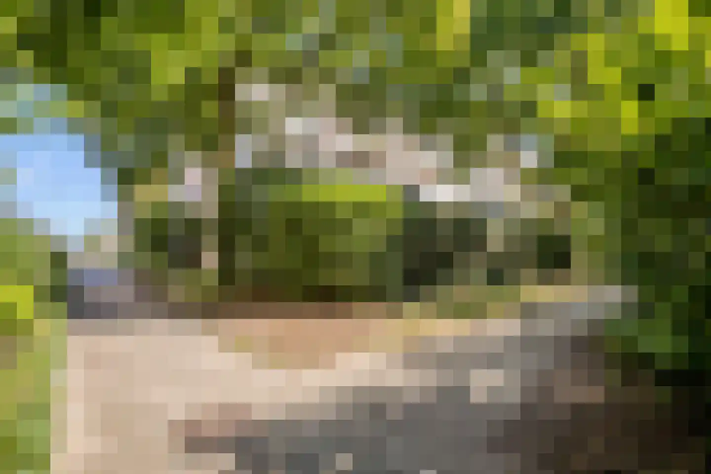 Voerakker 553 Ede thumbnail 29