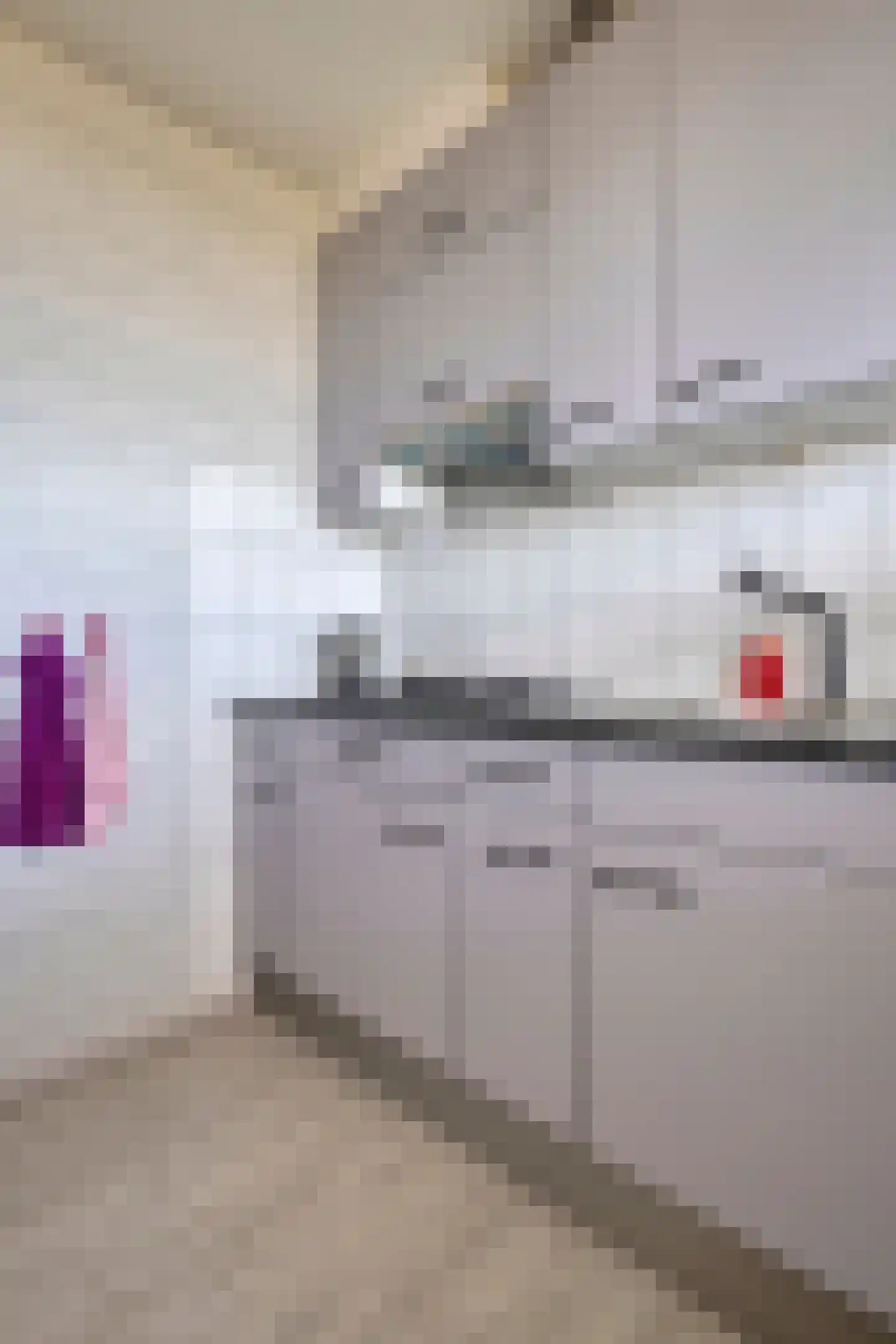 Voerakker 553 Ede thumbnail 8