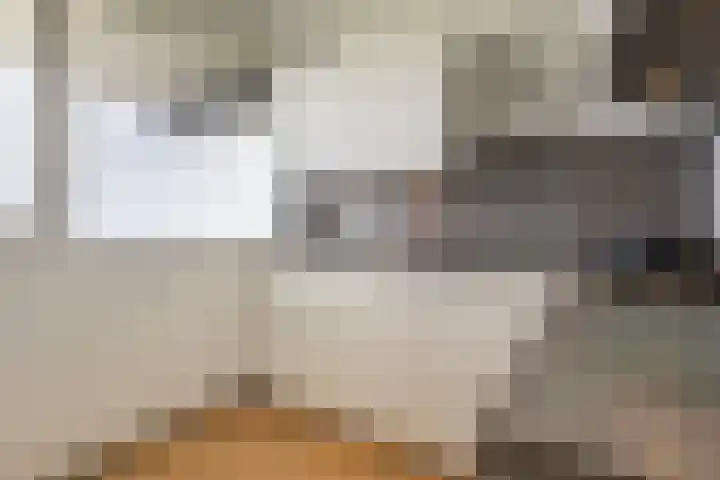 Voerakker 555 Ede thumbnail 12