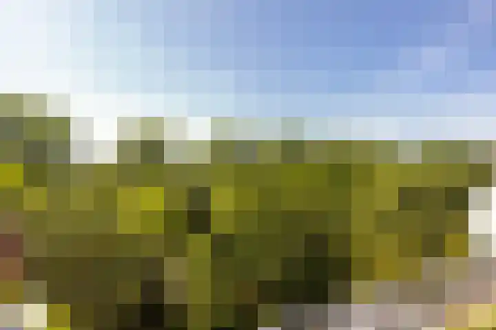 Voerakker 555 Ede thumbnail 20