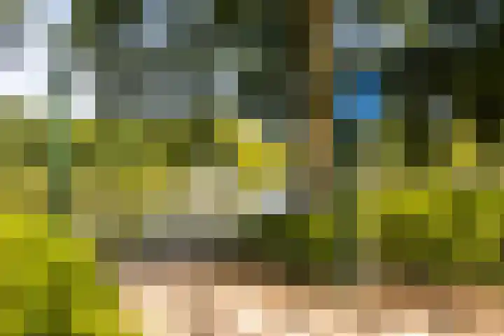 Voerakker 555 Ede thumbnail 27