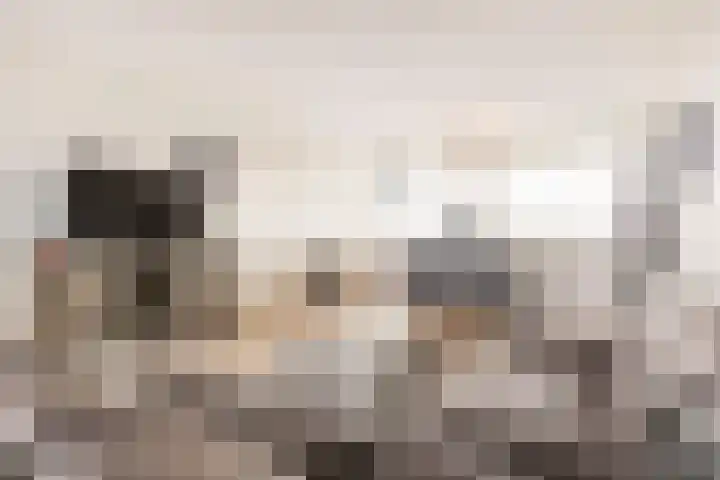 Voerakker 557 Ede thumbnail 10
